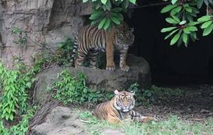 また見つかっちゃた(・_・;)