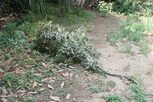 翌日も・・・(*^_^*)