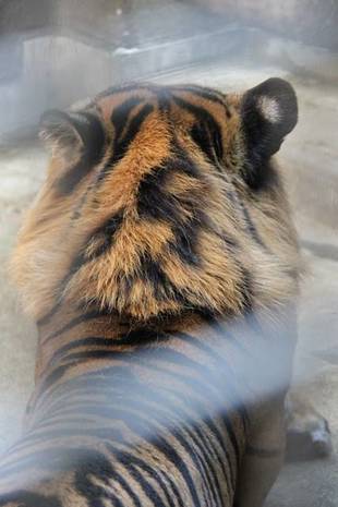 スッキリしました(^o^)