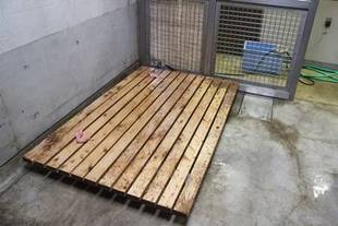 まとめてご報告!