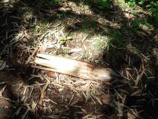 こんなものでも・・・(゜o゜)