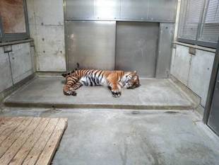 ご報告が遅くなりましたが・・・(・。・)