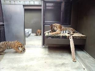 もう少し使いましょう