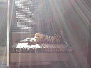 天気によって・・・