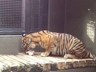 それぞれの定位置