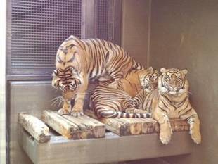 怪我の功名??③