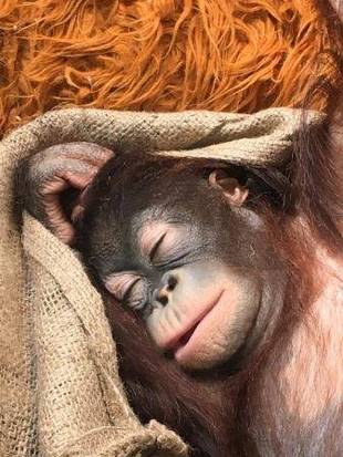 みなさま、お久しぶりです。