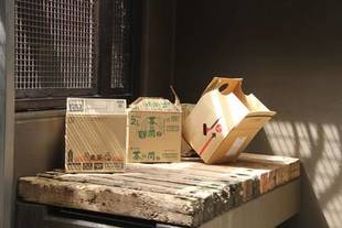 ニューフェイス登場!