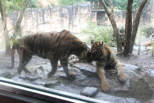 別れの日の様子