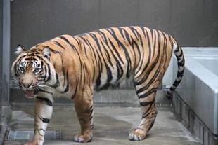 暑い日は・・・