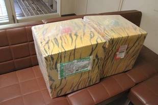 誕生日プレゼント(^○^)