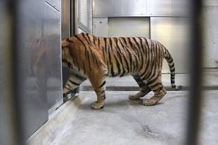 経過報告+お知らせ