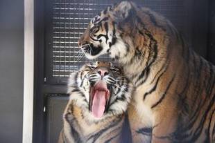 あと1週間(・o・)