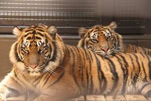 別の日では・・・