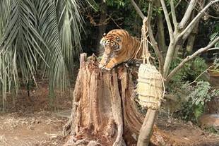 あれから10日が過ぎました・・・