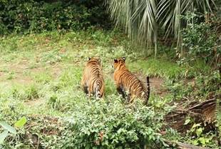 努力の成果か??