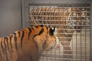 ミンピのその後②