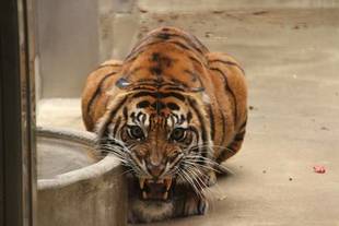 あれから1週間が過ぎました・・・