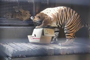 まだまだイケる!?!?