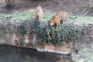 落ちんなよ～(゜o゜)