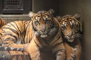 ある雨の日のこと・・