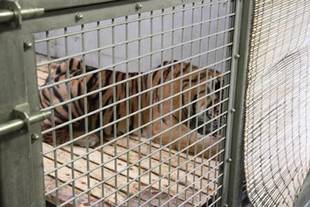 久しぶりのご報告(・o・)