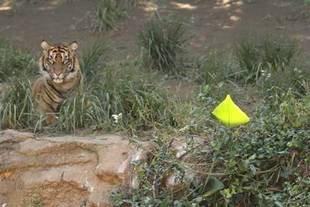 ビックリしたな～、もう!