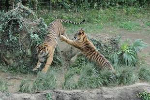 まだまだイケるぜ!