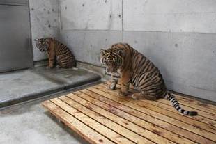 体重測定をしました!