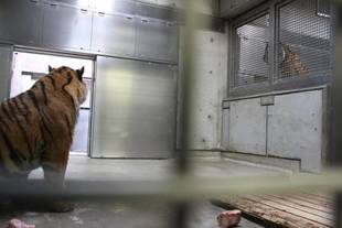 雪解けムード(*^_^*)