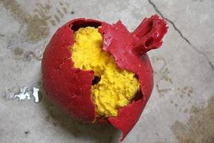 ミンピのお気に入り②