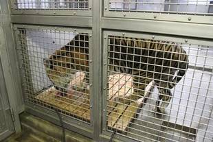 体重を量りました