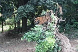 たまには・・・(・o・)