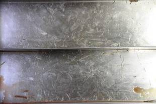 メスたちも毛が・・・