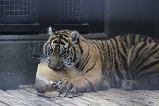 飽きもせず・・・(・o・)