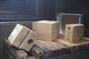 たまには段ボールを!