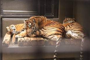 怪我の功名??①