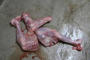 週に一度のお楽しみ(^^)v