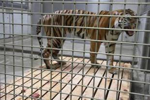 体重を量りました