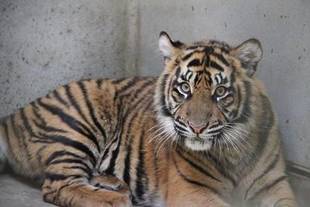 また体重測定を実施しました(=^・^=)