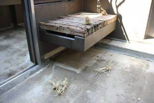 今日は「これ!」