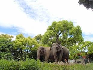 朝のごちそう♪