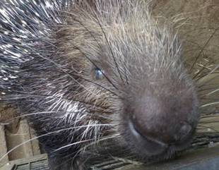 2月12日は・・・