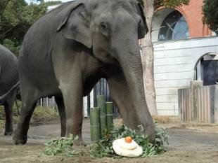 あっという間に・・・新年です!!