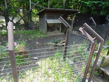 夏近し。の写真
