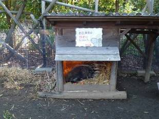 クリスはどこに?