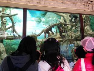 ズーラシアスクール 5時限目