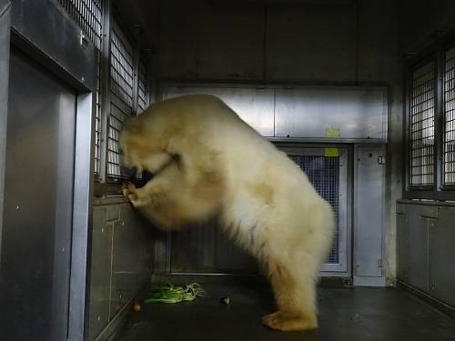 ようこそハマへ~♪の写真