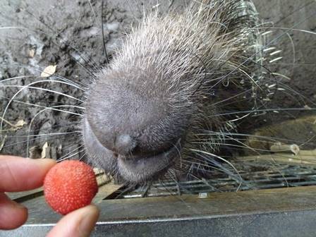 完食!の写真