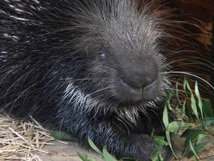 食欲の 春・夏・秋・冬